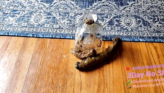 AshleyAssEats - Ashley AssEats Massive 12Inch POOPTRON Shit Logs