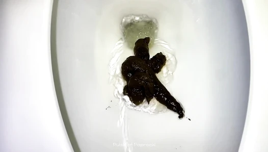 Pulsifer Paprocki - 14 Shits in February Compilation - 42 minutes