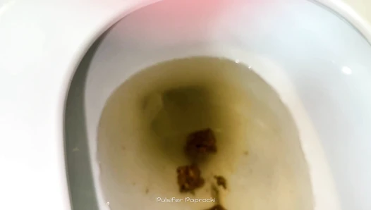 Pulsifer Paprocki - 14 Shits in February Compilation - 42 minutes