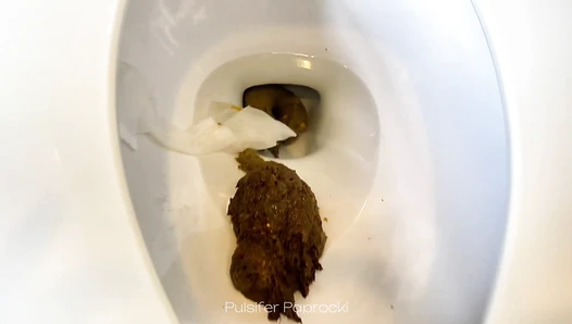 Pulsifer Paprocki - 14 Shits in February Compilation - 42 minutes