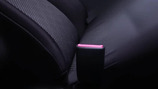 JP Fetish Merchant - Kotone Car Poop