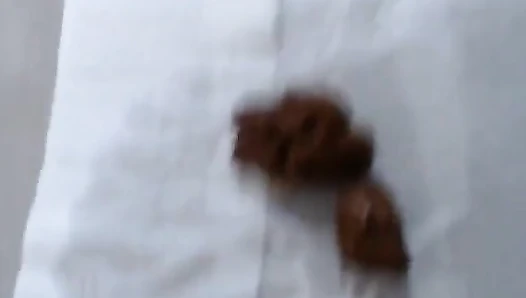 Small Poo