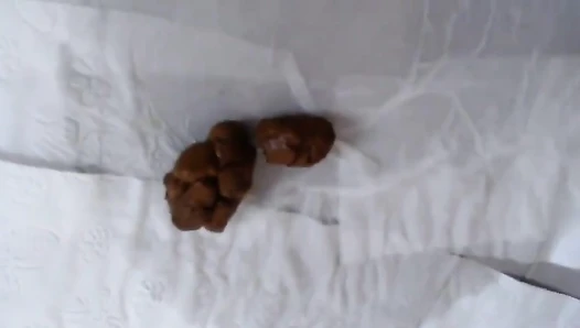 Small Poo