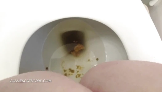 CassieScat - Fast, Desperate Runny Toilet Poop + Wiping