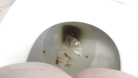 CassieScat - Fast, Desperate Runny Toilet Poop + Wiping