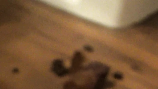 SexyScatForYou - Post-Thankgiving Dump! 2017