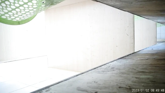 Foreground and background panorama 2