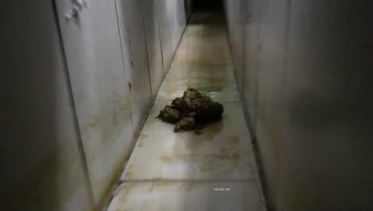 Chinese Girls Shitting 2